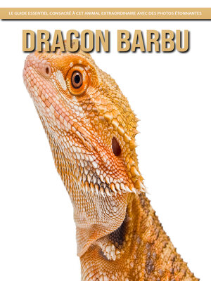cover image of Dragon Barbu